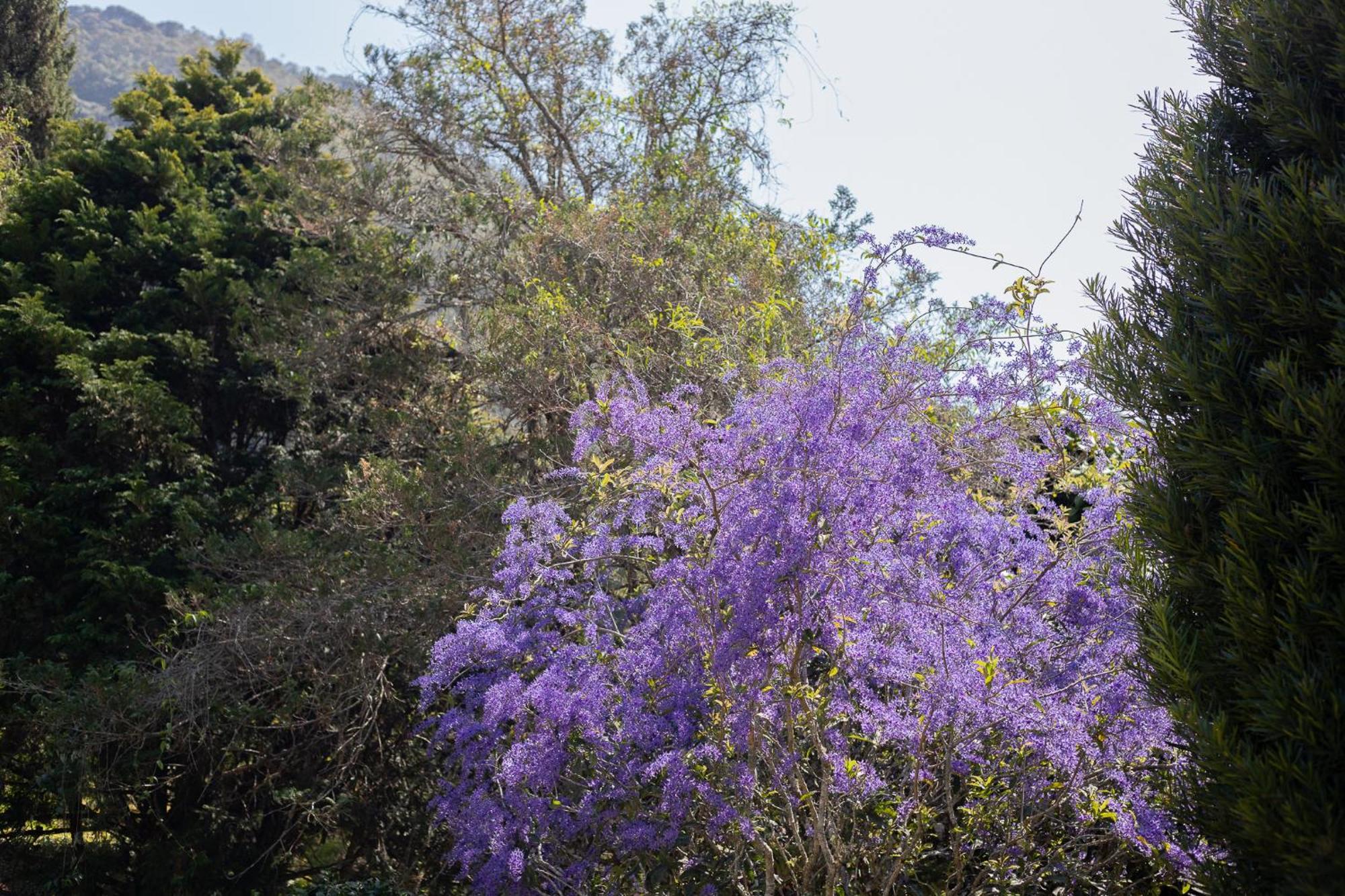 Recanto Dos Vianas Teresópolis Exteriör bild